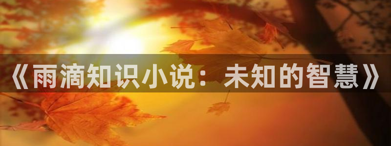 番薯小说免费版下载旧版