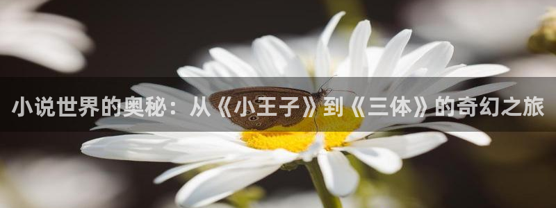 番薯小说免费版真的免费